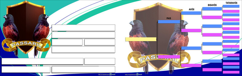 Exemplo de placa gerada pelo Passaril