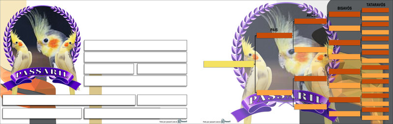 Exemplo de placa gerada pelo Passaril